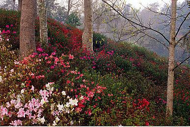 《传说之下》开发者解释《三角符文》第二章为何免费
